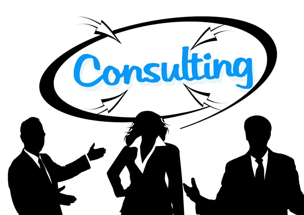 Consulting Professionals - Top Business Ideas For Long Term Success